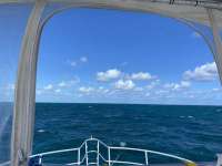 Great day of scuba diving in Key Largo with Rainbow Reef on double north tropical destiny 2022 11 04 r13305 1