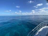 Great day of scuba diving in Key Largo with Rainbow Reef on fire coral cave tropical legend 2022 11 12 r13317 1