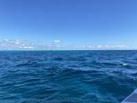 Great day of scuba diving in Key Largo with Rainbow Reef on fire coral cave tropical legend 2022 11 14 r13321 1