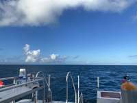 Great day of scuba diving in Key Largo with Rainbow Reef on french reef tropical legend 2022 11 01 r13295 1