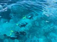 Great day of scuba diving in Key Largo with Rainbow Reef on sand island tropical legend 2022 11 16 r13327 1