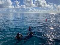 Great day of scuba diving in Key Largo with Rainbow Reef on sand island tropical legend 2022 11 16 r13327 2