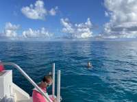 Great day of scuba diving in Key Largo with Rainbow Reef on sand island tropical legend 2022 11 16 r13327 3