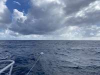 Great day of scuba diving in Key Largo with Rainbow Reef on spiegel grove tropical odyssey 2022 11 06 r13310 1