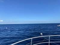 Great day of scuba diving in Key Largo with Rainbow Reef on spiegel grove tropical odyssey 2022 11 13 r13319 1