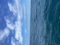 Great day of scuba diving in Key Largo with Rainbow Reef on benwood wreck tropical explorer 2022 10 08 r13206 1