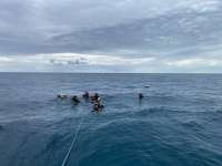 Great day of scuba diving in Key Largo with Rainbow Reef on christmastree cave tropical adventure 2022 10 05 r13195 1