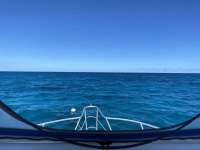 Great day of scuba diving in Key Largo with Rainbow Reef on city of washington tropical adventure 2022 10 25 r13275 1