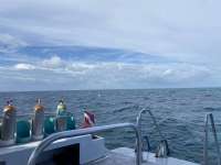Great day of scuba diving in Key Largo with Rainbow Reef on eagle ray alley tropical adventure 2022 10 17 r13244 1
