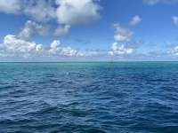Great day of scuba diving in Key Largo with Rainbow Reef on fire coral cave tropical adventure 2022 10 08 r13208 1