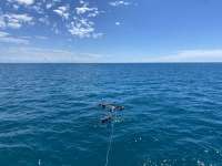 Great day of scuba diving in Key Largo with Rainbow Reef on snapper ledge tropical adventure 2022 10 03 r13187 1