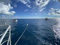 Great day of scuba diving in Key Largo with Rainbow Reef on spiegel grove tropical adventure 2022 10 15 r13234 1