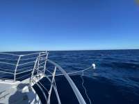 Great day of scuba diving in Key Largo with Rainbow Reef on spiegel grove tropical legend 2022 10 23 r13269 1
