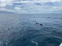 Great day of scuba diving in Key Largo with Rainbow Reef on student classes trip tropical adventure 2022 10 17 r13246 1