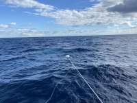Great day of scuba diving in Key Largo with Rainbow Reef on uscgc duane tropical destiny 2022 10 07 r13200 1