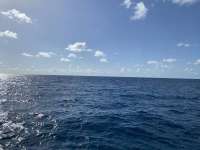 Great day of scuba diving in Key Largo with Rainbow Reef on benwood wreck tropical adventure 2022 09 02 r13114 2