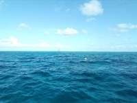 Great day of scuba diving in Key Largo with Rainbow Reef on north star tropical destiny 2022 09 02 r13115 1