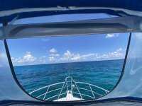 Great day of scuba diving in Key Largo with Rainbow Reef on snapper ledge tropical adventure 2022 09 02 r13116 1