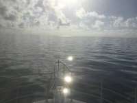 Great day of scuba diving in Key Largo with Rainbow Reef on benwood wreck tropical legend 2023 04 02 r13665 1
