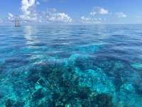 Great day of scuba diving in Key Largo with Rainbow Reef on eagle ray alley tropical adventure 2023 04 16 r13749 1