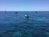 Great day of scuba diving in Key Largo with Rainbow Reef on eagle ray alley tropical destiny 2023 04 21 r13773 1