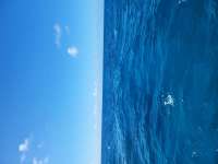 Great day of scuba diving in Key Largo with Rainbow Reef on french twist tropical adventure 2023 04 08 r13706 1