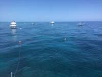 Great day of scuba diving in Key Largo with Rainbow Reef on hole in the wall tropical legend 2023 04 02 r13669 1