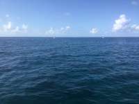Great day of scuba diving in Key Largo with Rainbow Reef on hole in the wall tropical legend 2023 04 03 r13678 1