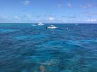 Great day of scuba diving in Key Largo with Rainbow Reef on north star tropical adventure 2023 04 16 r13751 1