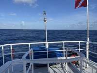 Great day of scuba diving in Key Largo with Rainbow Reef on uscgc duane tropical adventure 2023 04 07 r13697 1