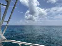 Great day of scuba diving in Key Largo with Rainbow Reef on banana patch tropical odyssey 2023 08 18 r14511 1