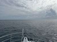 Great day of scuba diving in Key Largo with Rainbow Reef on drift french tropical legend 2023 08 17 r14502 1