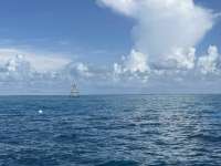 Great day of scuba diving in Key Largo with Rainbow Reef on eagle ray alley tropical destiny 2023 08 01 r14407 1