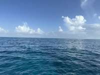 Great day of scuba diving in Key Largo with Rainbow Reef on french reef tropical odyssey 2023 08 09 r14455 1