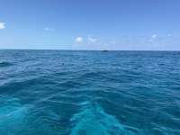 Great day of scuba diving in Key Largo with Rainbow Reef on french twist tropical odyssey 2023 08 11 r14470 1