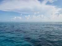 Great day of scuba diving in Key Largo with Rainbow Reef on hole in the wall tropical legend 2023 08 03 r14420 1