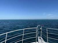 Great day of scuba diving in Key Largo with Rainbow Reef on hole in the wall tropical odyssey 2023 08 26 r14534 1