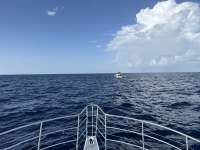 Great day of scuba diving in Key Largo with Rainbow Reef on molasses deep tropical odyssey 2023 08 18 r14507 1
