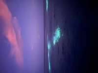 Great day of scuba diving in Key Largo with Rainbow Reef on molasses reef tropical destiny 2023 08 08 r14454 1