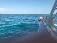 Great day of scuba diving in Key Largo with Rainbow Reef on pickles reef tropical legend 2023 08 11 r14468 1