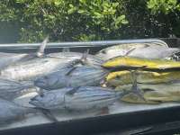 Great day of scuba diving in Key Largo with Rainbow Reef on spanish anchor tropical destiny 2023 08 07 r14444 2