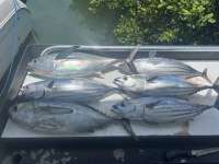 Great day of scuba diving in Key Largo with Rainbow Reef on spanish anchor tropical destiny 2023 08 07 r14444 3