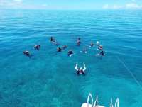 Great day of scuba diving in Key Largo with Rainbow Reef on spanish anchor tropical destiny 2023 08 25 r14530 1