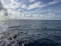 Great day of scuba diving in Key Largo with Rainbow Reef on spiegel grove tropical odyssey 2023 08 24 r14525 1