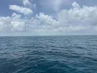 Great day of scuba diving in Key Largo with Rainbow Reef on student classes trip tropical legend 2023 08 17 r14505 1