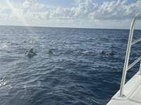 Great day of scuba diving in Key Largo with Rainbow Reef on uscgc duane tropical destiny 2023 08 15 r14496 1