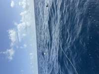 Great day of scuba diving in Key Largo with Rainbow Reef on uscgc duane tropical destiny 2023 08 23 r14521 1