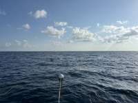 Great day of scuba diving in Key Largo with Rainbow Reef on uscgc duane tropical odyssey 2023 08 25 r14527 1