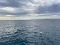 Great day of scuba diving in Key Largo with Rainbow Reef on christ statue tropical odyssey 2023 12 30 r14972 1