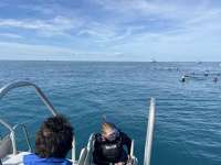 Great day of scuba diving in Key Largo with Rainbow Reef on christ statue tropical serenity 2023 12 27 r14956 1
